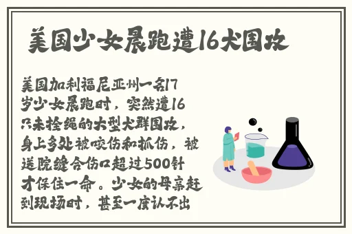 TXVLOG糖心官方2024在线